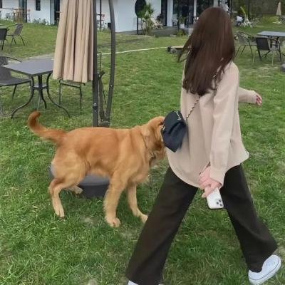 哈里的遭遇